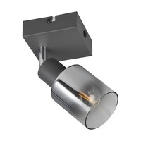 Reality Leuchten Cadiz Wandleuchte Wandlampe Anthrazit Metall Rauchglas 9 X 9 Cm