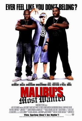 MALIBU'S MOST WANTED Movie POSTER 27x40 Jamie Kennedy Taye Diggs Anthony