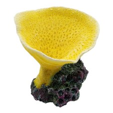 RA Elephant Ear Coral - Yellow 2 Pack 