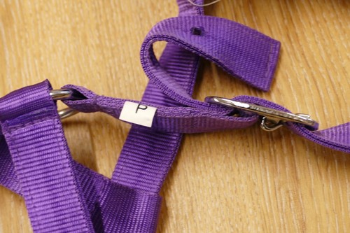 Protack nylon headcollar, purple, pony size BNWT (MO) - Picture 4 of 7