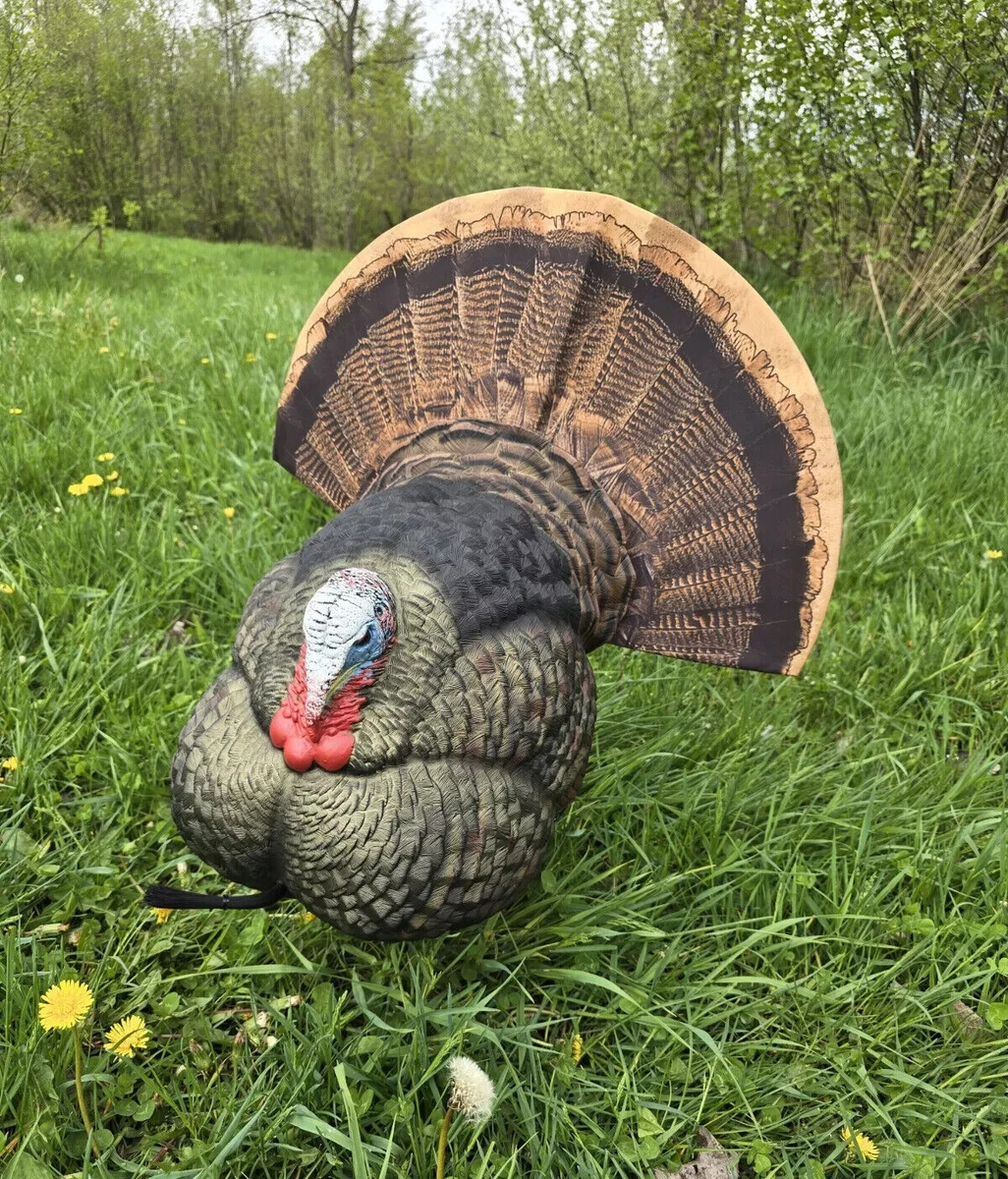 Avian-X LCD Strutter Turkey Hunting Life-Like Decoy, Multi Color