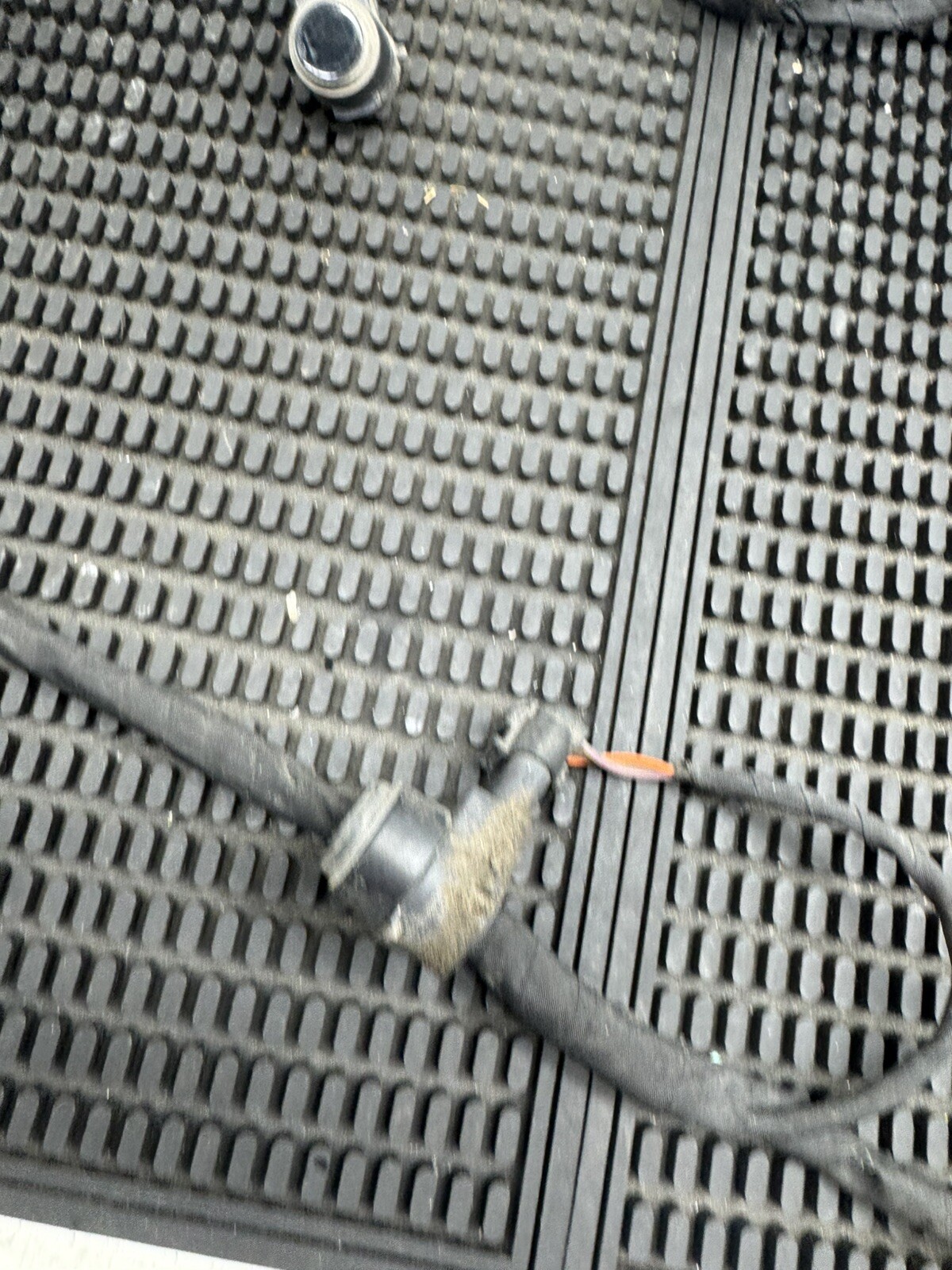 Picture 8 of 8
