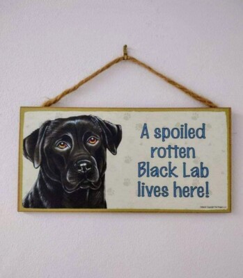 Dog Sign Wooden 5 Inch x 10 Inch - A Spoiled Rotten Black Lab Lives Here! 
