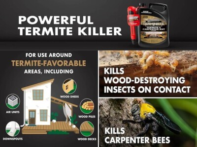 #ad Termite Carpenter Ant amp; Bee Killer Spray Indoor Outdoor Insect Control Garden $37.99