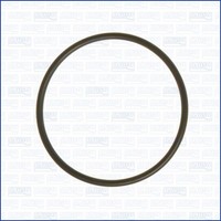 1X Ajusa 16057900 Dichtung AnsaugkrüMmer FüR CitroëN Fiat Peugeot