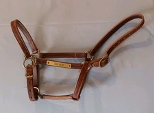 Used Leather  Brass Horse Halter