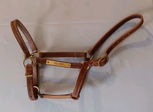 Used Leather & Brass Horse Halter