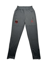 Jordan Paris Saint-Germain PSG Mens Athletic Cotton Gray Track Pants Size M