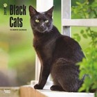 Black Cats 2017 Wall Calendar 9781465055156