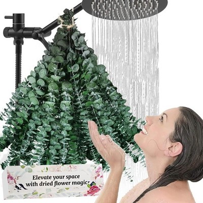 Bulk Package 30 PCS Real Dried Eucalyptus Plant Large Stems for Shower, Natur...