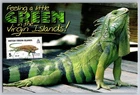 British Virgin Islands 1999 Iguana FDC Maxi Card