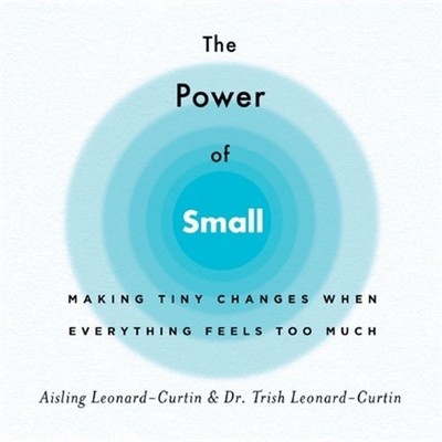 The Power of Small: Making Tiny Changes When Everything Feels Too Much (Paperbac