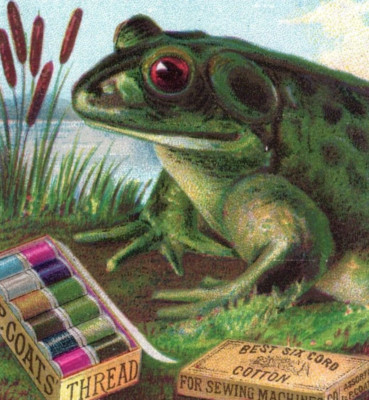 1881 J&P Coats Spool Cotton Needle & Thread Numbers List Cute Bullfrog F139