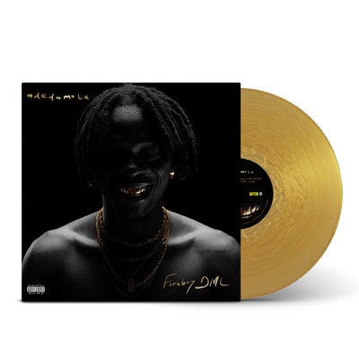 Fireboy Dml Adedamola LP Vinyl ERE1074 NEW