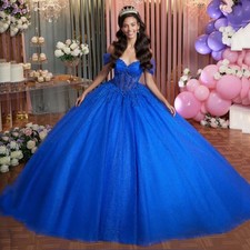 Royal Blue Ball Gowns Quinceanera Dresses Shiny Applique Beading Bow Sweet 15 16