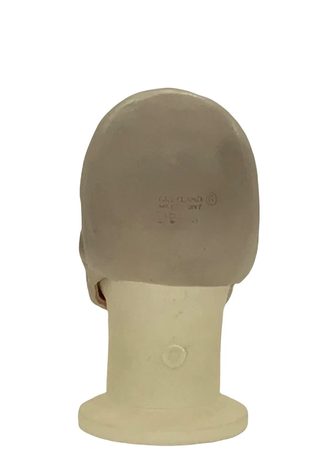 Skull Foam Latex Mask Skeleton Fancy Dress Costume Accessory Greyland Film - Image 3 of 4