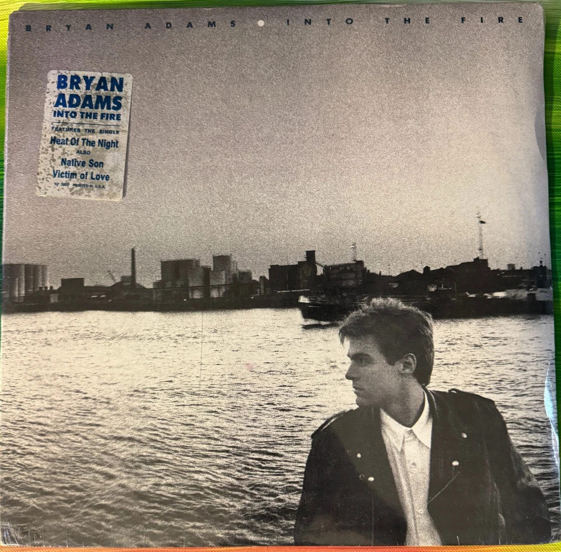 Preços baixos em Bryan Adams perfeito (M) Discos de vinil LP de