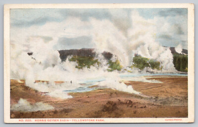 #ad Haynes Norris Geyser Basin No. 225 Type D Yellowstone Park Wyoming Postcard $9.00