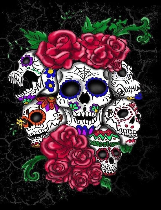 Imagen 6 de 10