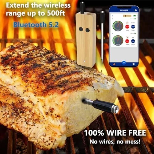 Bluetooth Meat Thermometer with 2 Ultra-Thin Probes, Smart Wireless Meat