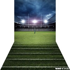 10'x20'Sports Computer-painted Football Court Scenic background backdrop BHF1712