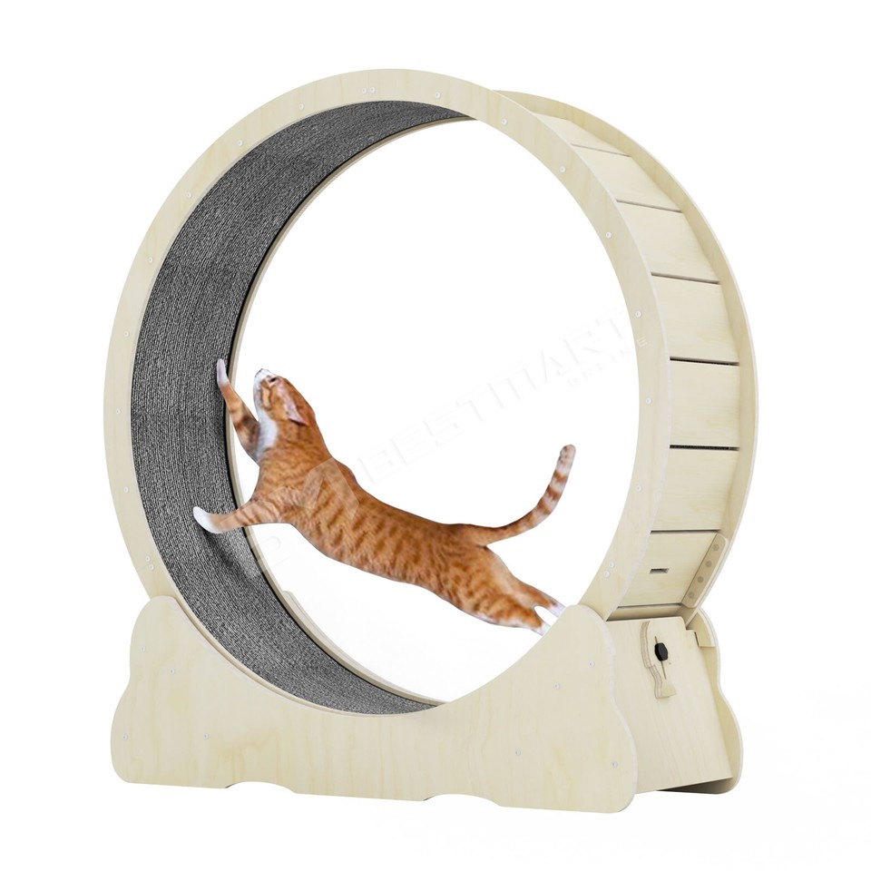 Wood Cat Wheel Exercise Gym Treadmill Dog Puppy Running Exerciser