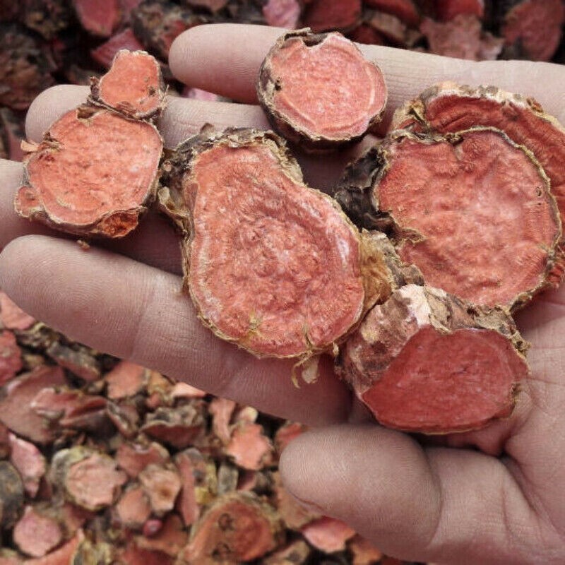 100% Pure Tibetan Plateau Wild Rhodiola Rosea Root Slices 红景天500g