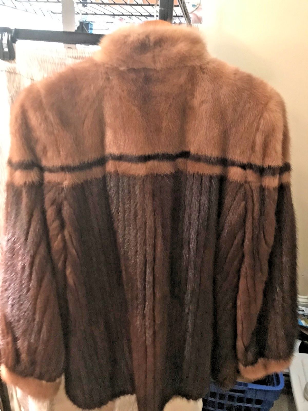 Picture 5 of 5