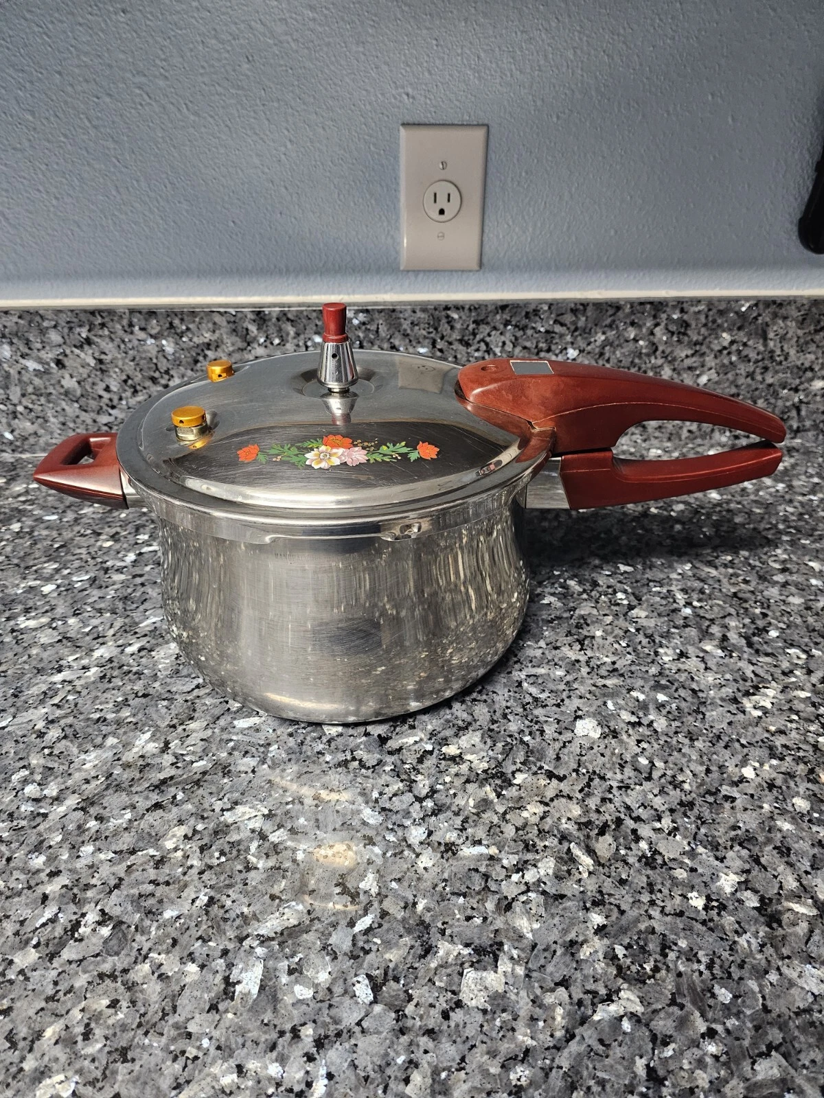 Myland 11in Stovetop Pressure Cooker