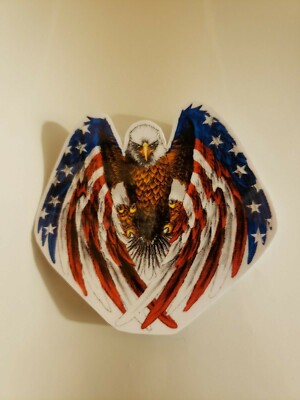 Zyn Sticker Bald Eagle & Decal - 4x4" For Car, Truck, Laptop, Cooler American Flag Sticker - Foto 9