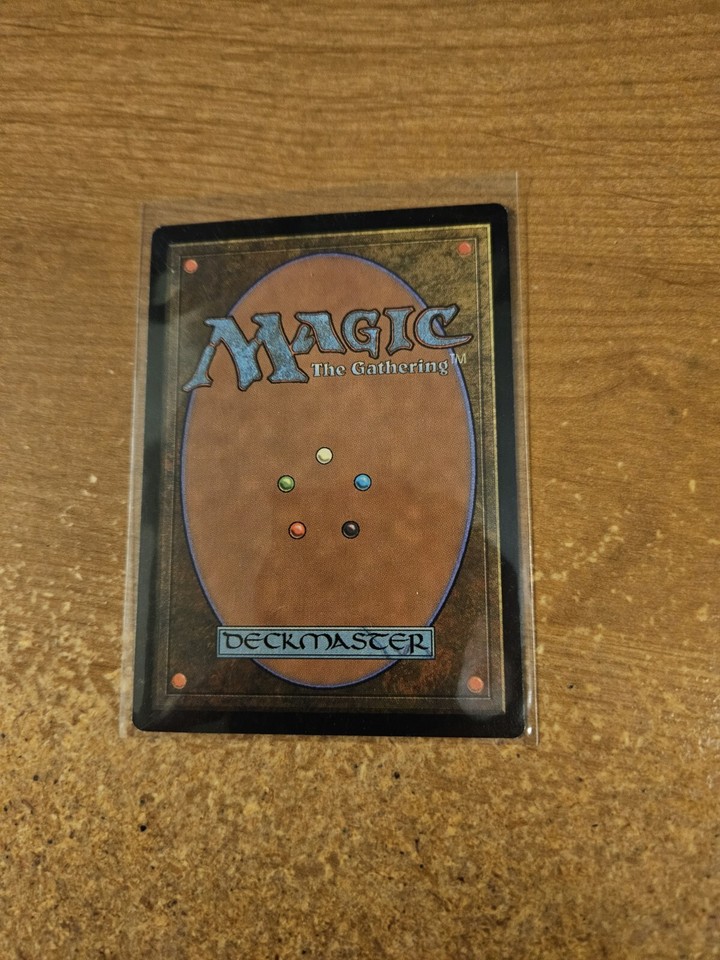 Magic: The Gathering - Skyshroud Forest - Foresta di Cielsudario