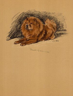 1937 Antique Chow Chow Print Lucy Dawson Chow Illustration Wall Art Decor 5429f