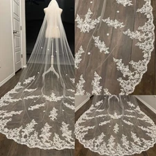 Delicate Floral Embroidered Lace Veil with Comb Cathedral Length Wedding