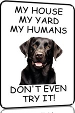 Labrador Retriever My House My Yard Tin Metal Signs Home D cor 8x12