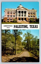 Greetings From Palestine Texas P835