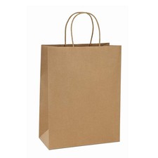 10x5x13 Kraft Shopping Bags 100Pcs Brown Paper Bags with Handles Bulk, for Gi...