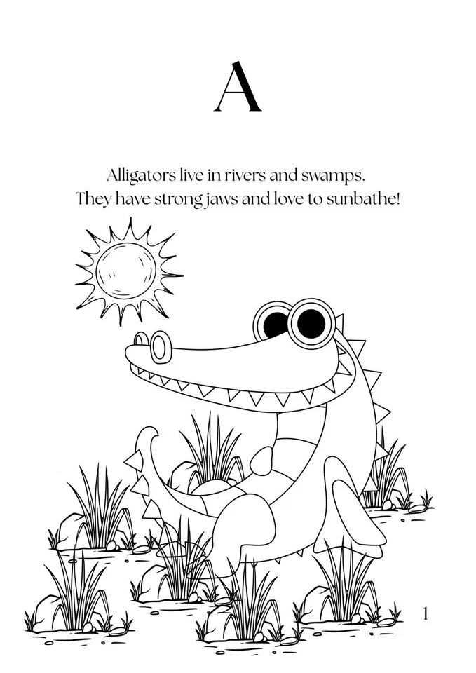 Educational Coloring Book Bundle – 4 Fun Learning Books for Kids Ages 4-8 (PDF) - Image 2 of 4