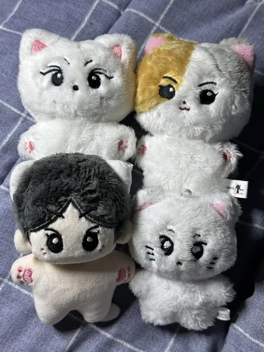 enhypen jungwon doll, little kitty, Korean kitty, little one sheep