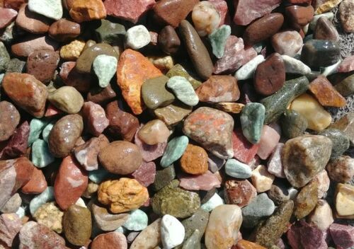  15 lbs   Fish Tank Gravel, Pebbles  Green semi polished aquarium stone - 第 1/1 張圖片