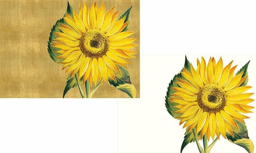Caspari Boxed Note Cards, Sunflower - Box of 8 (79614.46) - Picture 2 of 3