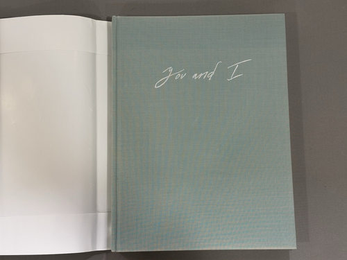You & I Ryan Mc Ginley Hard Cover Dust Jacket - Picture 3 of 15