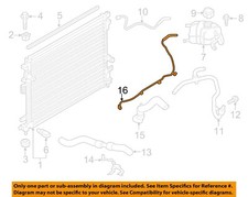 Ford Oem Radiator Coolant-recovery Tank Bottle Overflow Hose F2gz8063a
