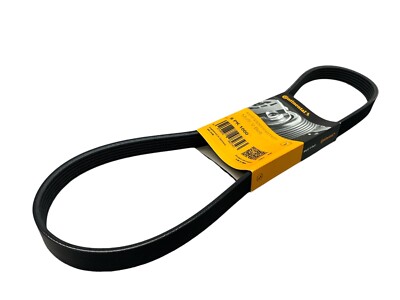 Continental Contitech Multi V-Belt 6 Ribs x 1000mm 6PK1000 for Audi, Porsche, VW