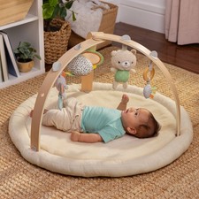 Ingenuity Every Season Plush Lambswool Baby Play Gym with Reversible Mat and