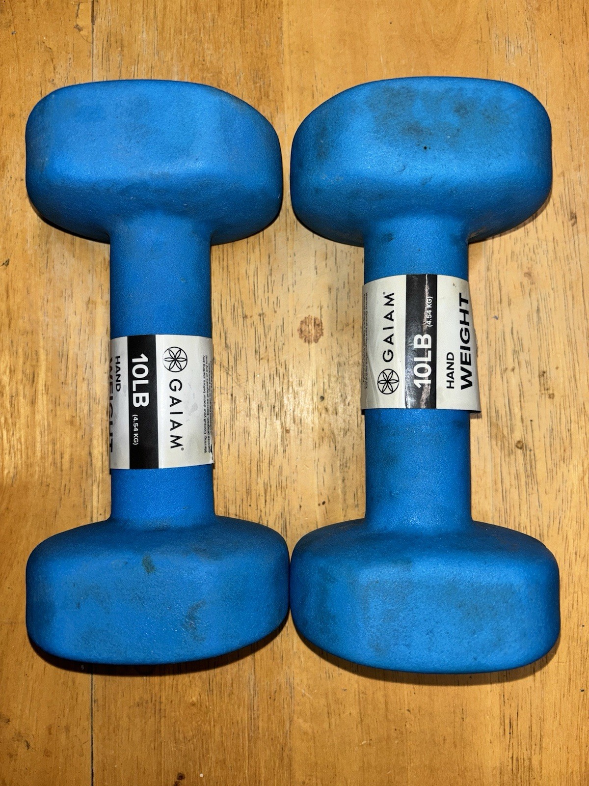 Blue 10lb Dumbbells Pair