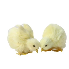 Easter Model Cross-Border Ornaments Chicken Toy Simulation Plush Animal Doll