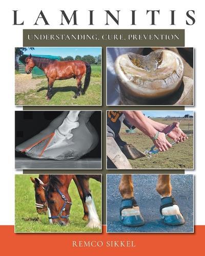 Thumbnail - Remco Sikkel Laminitis (taschenbuch) (us Import)