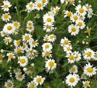 Bild 9 von 12