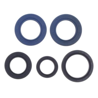 Engine oil seals kit / Motorsimmerringe Rotax 504