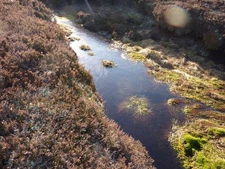 Photo A2 Ice in the bogs Ben Main  c2011